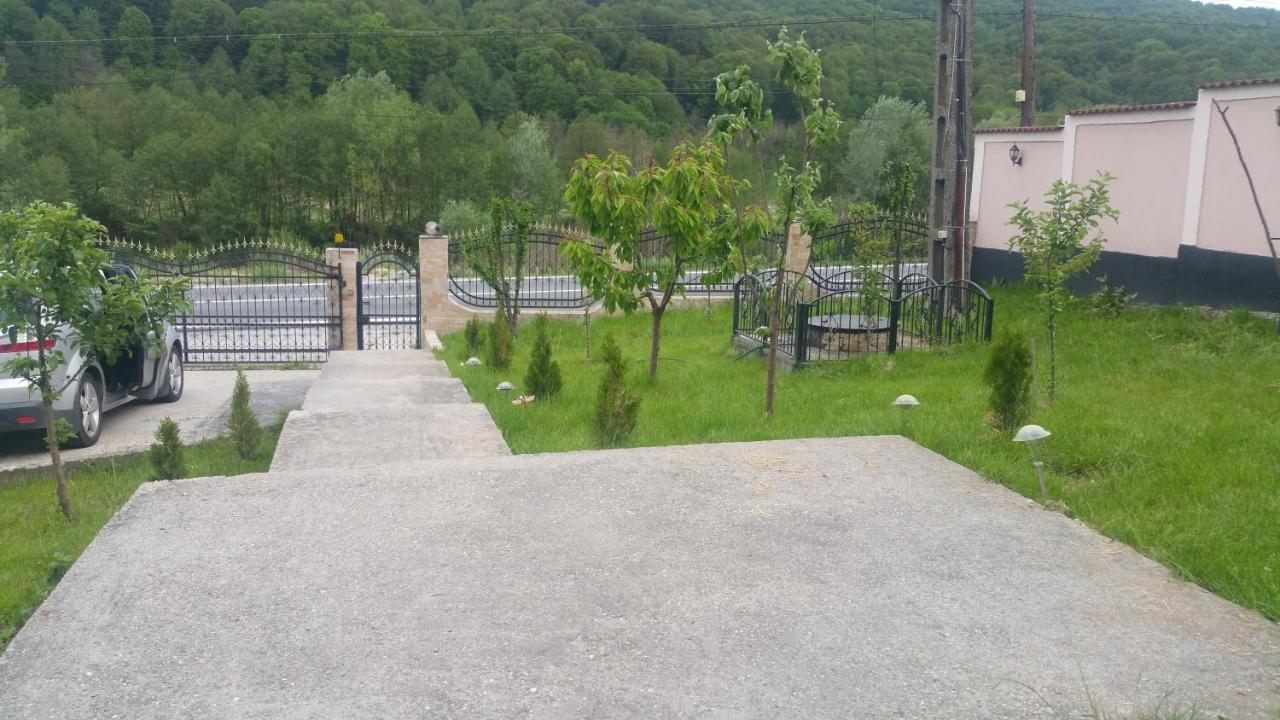 Casele Lena Bed and Breakfast Aldesti  Εξωτερικό φωτογραφία