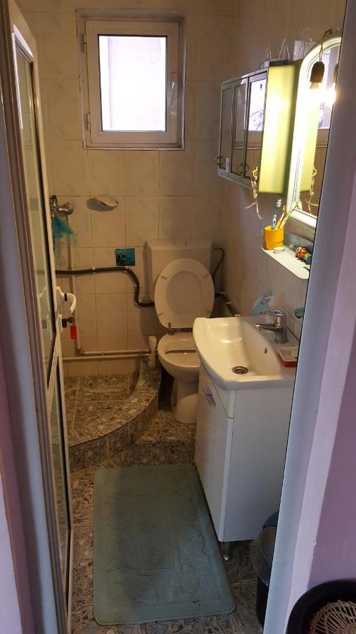 Casele Lena Bed and Breakfast Aldesti  Εξωτερικό φωτογραφία