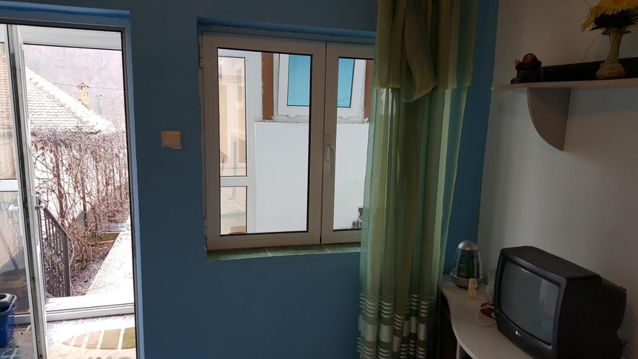 Casele Lena Bed and Breakfast Aldesti  Εξωτερικό φωτογραφία