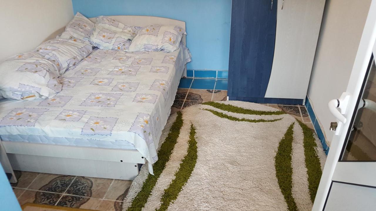 Casele Lena Bed and Breakfast Aldesti  Εξωτερικό φωτογραφία