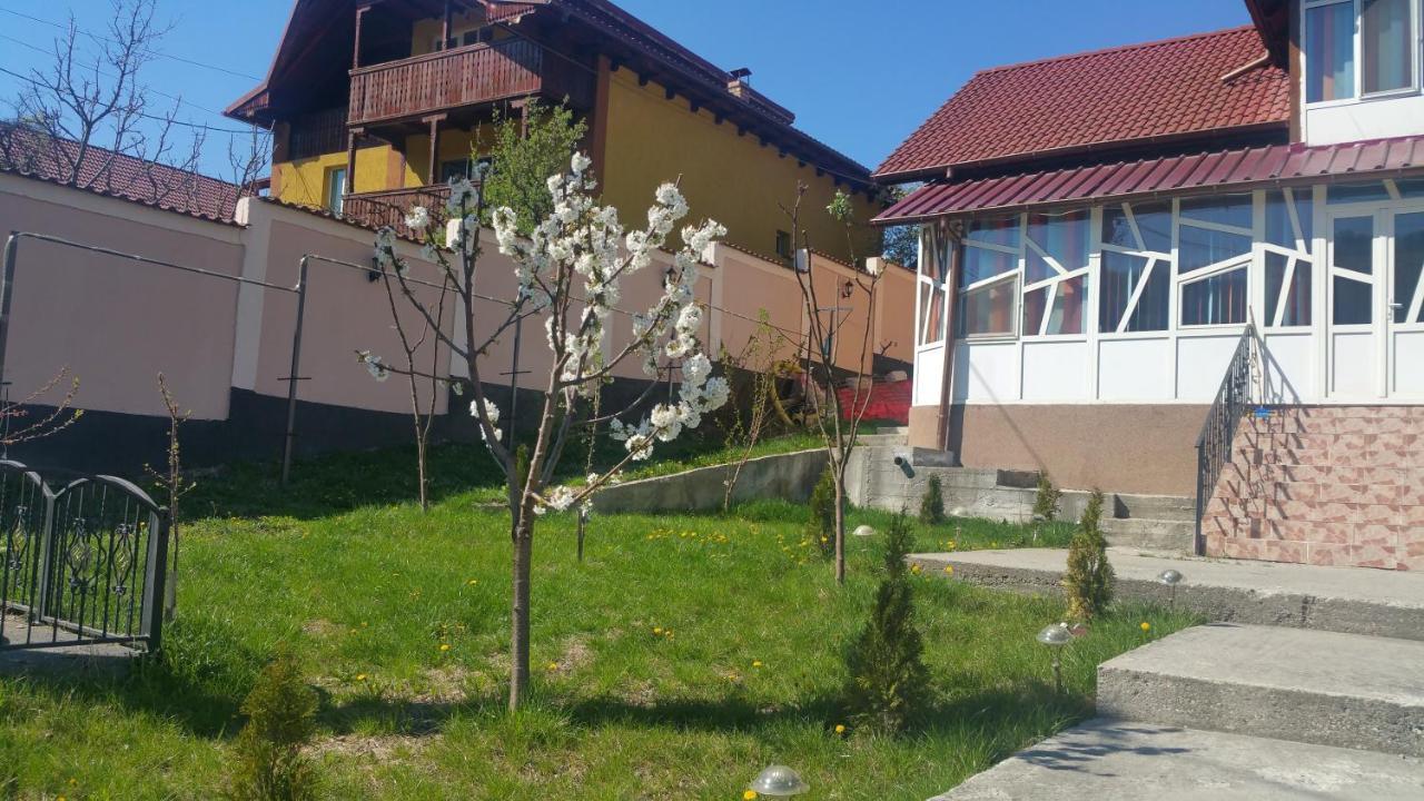 Casele Lena Bed and Breakfast Aldesti  Εξωτερικό φωτογραφία