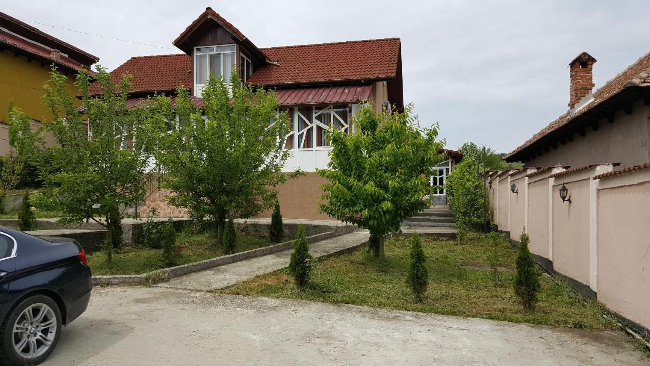 Casele Lena Bed and Breakfast Aldesti  Εξωτερικό φωτογραφία